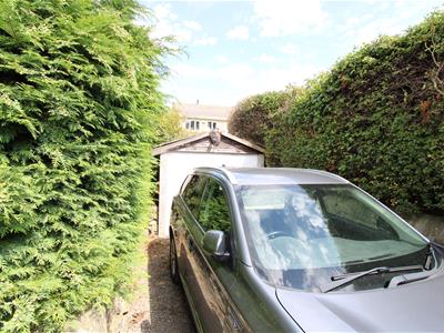 Picture 20